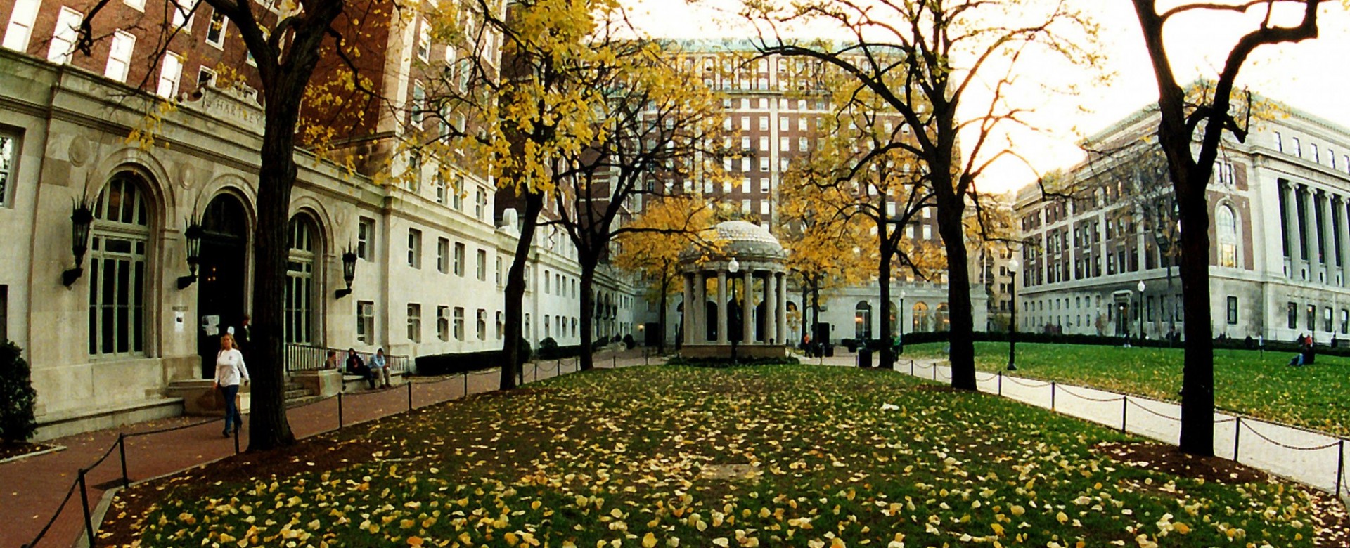 Hamilton Lawn and Van Amringe Memorial in Van Am Quad, picture of lawn with yellow leaves
