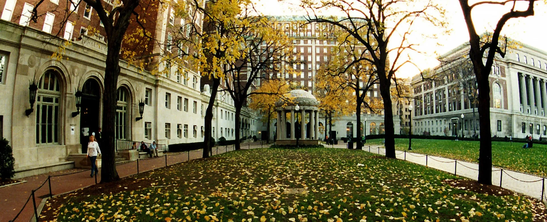Hamilton Lawn and Van Amringe Memorial in Van Am Quad, picture of lawn with yellow leaves